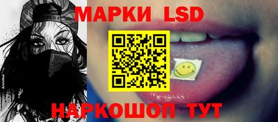 Альфа ПВП Кандалакша