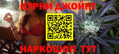 Альфа ПВП Кандалакша